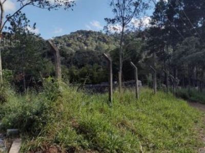 Terreno para Venda - Cód. 1145